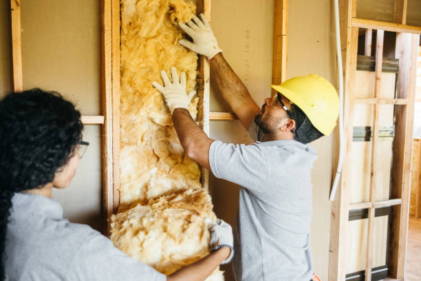 Types of Insulation We Offer in Enderlin, ND